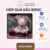 Gấu Bông Hộp Quà Trong Suốt – Món Quà Tinh Tế, Hot Trend 2026